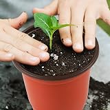 Augshy 150 Pcs 4 Inch Plastic Nursery Pots Seed Starting Succulent Transplant view 5