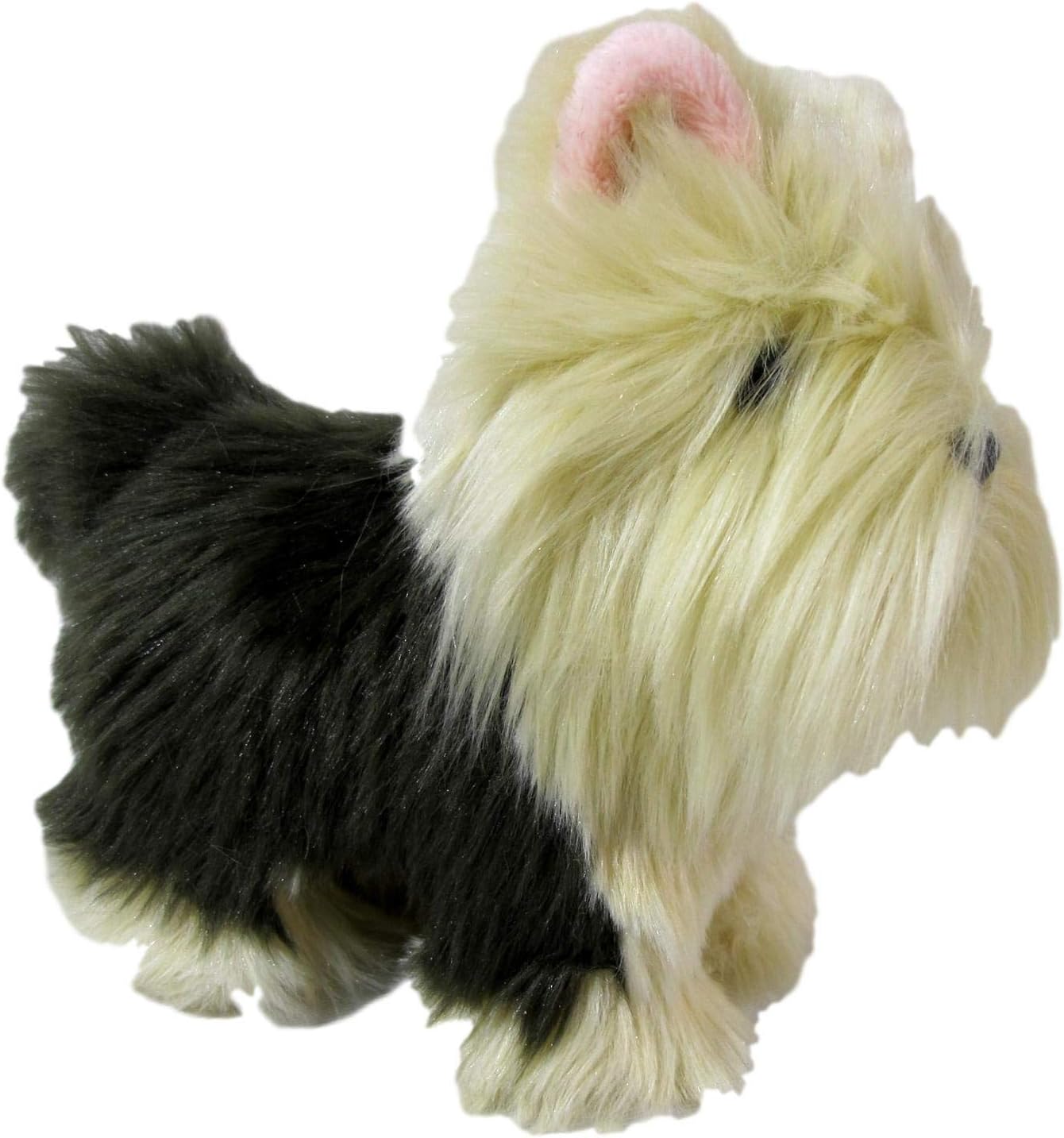 american girl terrier puppy