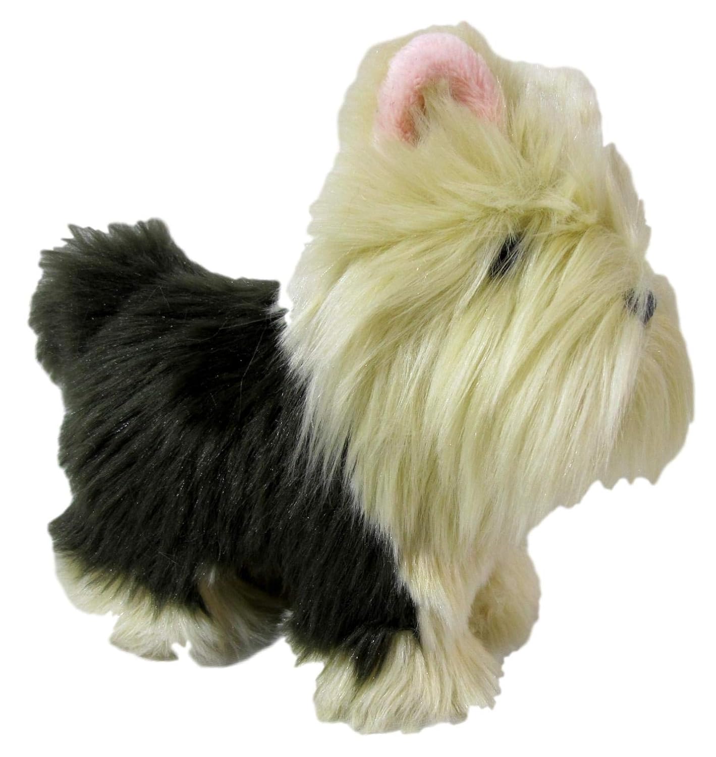 american girl terrier puppy