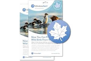 WindowAlert Maple Leaf Anti-Collision Decal - UV-Reflective Window Decal to Protect Wild Birds from Glass Collisions 2-Pack - Made in The USA