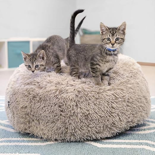 human sized cat cave