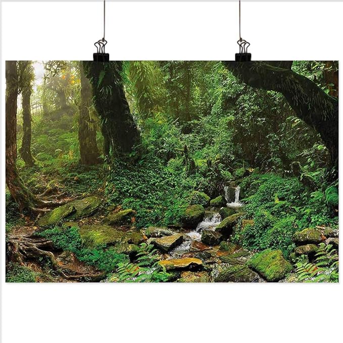 Landscape Modern Wall Decor Rainforest Trees Nepal 12x16
