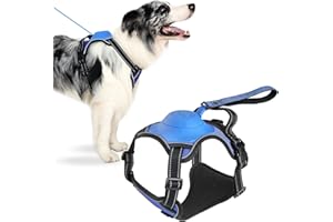 VIWIK XL Blue Dog Harness with Retractable Leash, Reflective, No-Pull, Heavy Duty for Medium Large Dogs