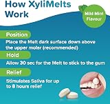 XyliMelts Dry Mouth Relief Discs Mild Mint 80 Count Pack of 2 view 4