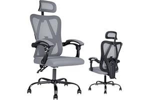 AraSyleon Ergonomic Office Chair: Office Computer Desk Chair with High Back Mesh and Adjustable Lumbar Support Rolling Work Swivel Task Chairs with Wheel 3D Armrests and Headrest