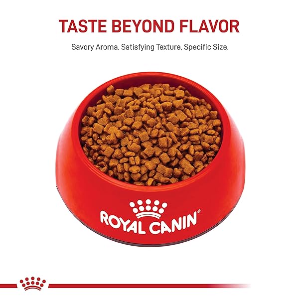 ROYAL CANIN FELINE HEALTH NUTRITION MOTHER & BABYCAT QUEEN DRY CAT FOOD, 6 LB BAG