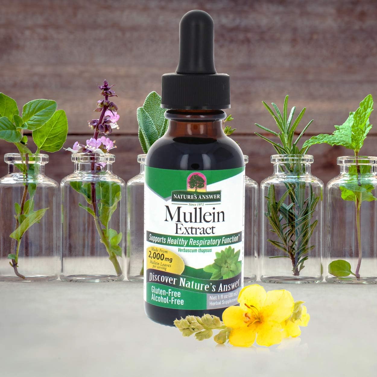 Natures Answer - Mullein Leaf - 30ml, Cranberry, 30 ml (Pack of 1) - Image 4