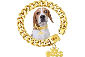 Gold Dog Chain Collar with Solid Buckle,15mm Wide Metal Stainless Steel Chew Proof Cuban Link Chains Walking Training Collars