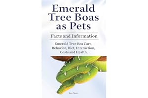 Emerald Tree Boas as Pets. Facts and Information. Emerald Tree Boa Care, Behavior, Diet, Interaction, Costs and Health.