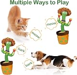 HICAS Dancing Talking Cactus Toy Repeats Voices 120 Songs Volume Control view 5