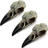 3Pcs Halloween Raven Skull Necklace, Gothic Fake Crow Skull Pendant Decor | Resin Bird Skull Pendant, For Halloween Costumes, Wall Decorations