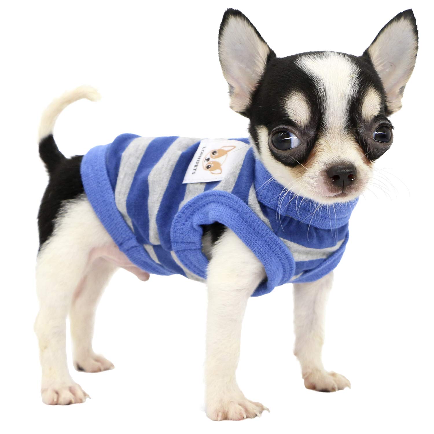 LOPHIPETS 100% Cotton Striped Dog Shirts for Small Dogs Chihuahua Puppy Clothes Tank Vest Tee-Blue and Gray Strips/XXS