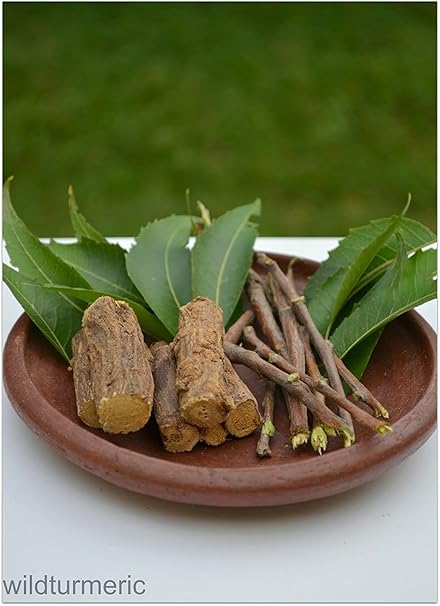 Natural Indian Neem Chew Sticks For Fresh And Healthy Teeth 10 Pcs Amazon Ca Health Personal Care