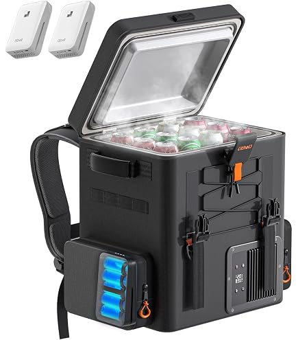 Amazon.com: LiTHELi FrozenPack Wild 12V Car Refrigerator