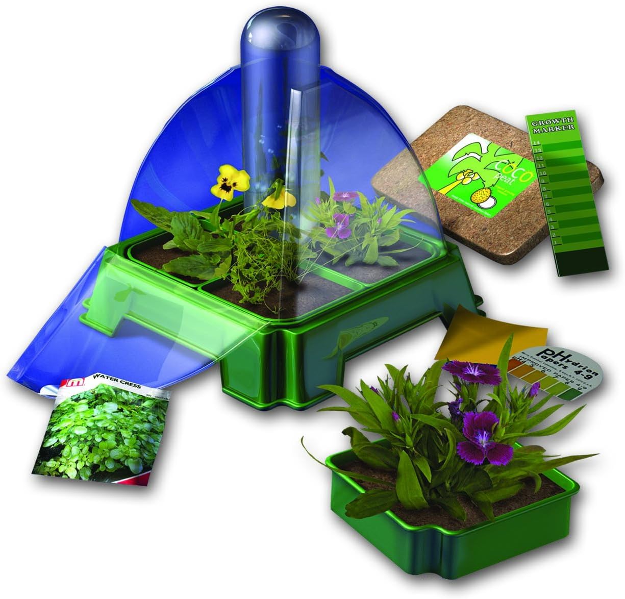 EDuk8 Children's Hydro Garden - Grow, Learn About Plants & Vegetables - Observes Study Nature Science