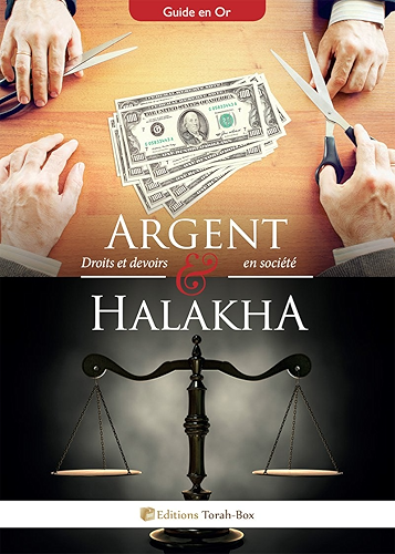 Download Argent et Halakha PDF