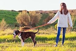 Reflective Dog Collar and Leash Set with Safety