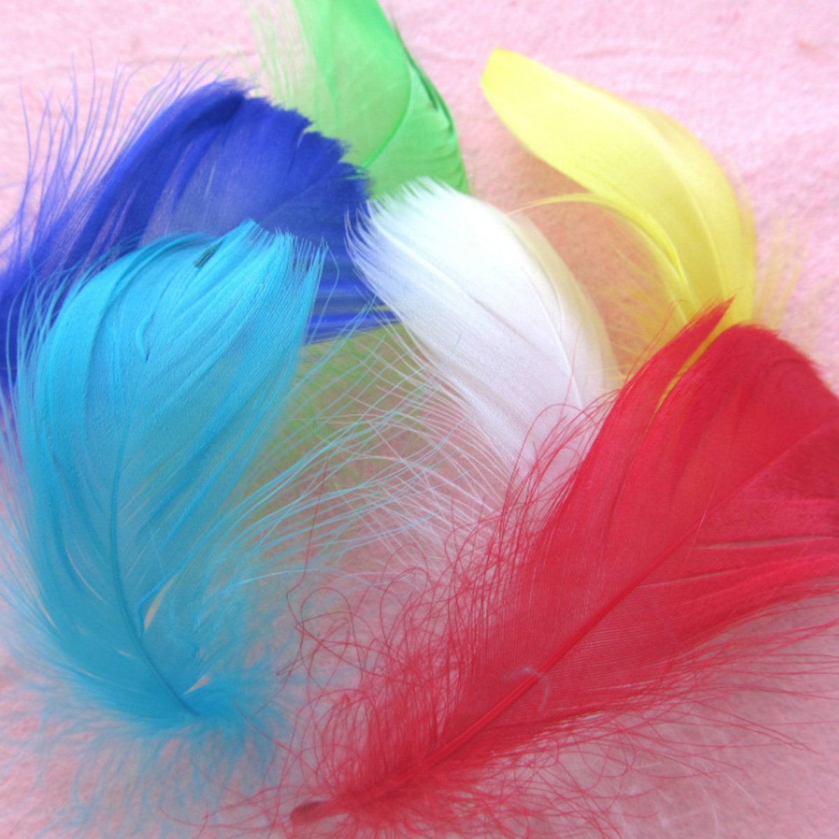 Rocita 300pcs DIY Colorful Feathers Assorted Color Craft Supplies for Arts Crafts Sewing