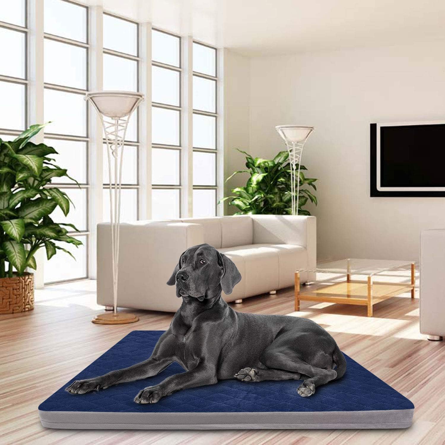 Large Dog Bed Mat Crate Pad Soft Pet Beds With Removable Cover Washable Anti Slip Pet Sleeping Mattress For Travel Beds Pet Supplies Fcteutonia05 De