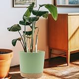 QCQHDU 25.4cm Plant Pot 2 Pack with Drainage Holes and Saucer Green 25.4cm view 6