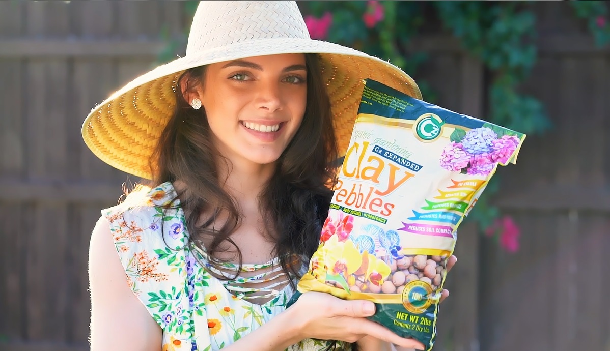 Organic Expanded Clay Pebbles Grow Media - Orchids • Hydroponics