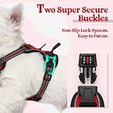 rabbitgoo Small Dog Harness No Pull Reflective Front Back Leash Clips Red XS view 4
