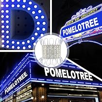 Pomelotree LED Window Lights LED Modules Light LED Storefront ...