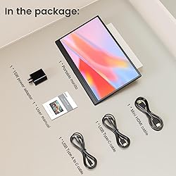 Newsoul 15.6" Portable Monitor, IPS HDR 1920X1080