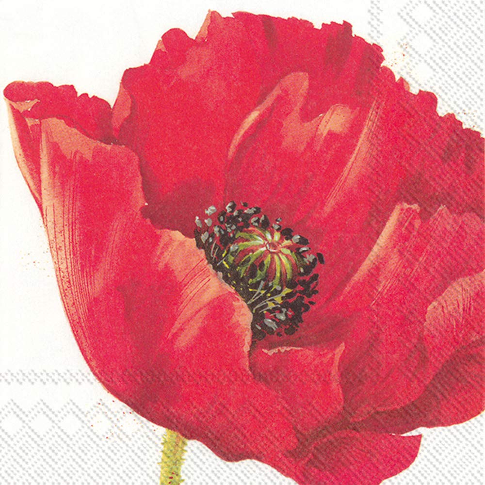 Boston International L844700 IHR 3-Ply Paper Napkins, Mona