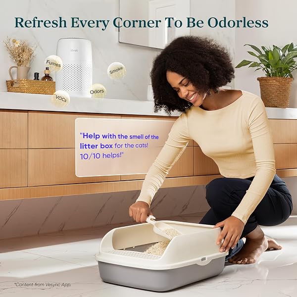 LEVOIT AIR PURIFIERS FOR BEDROOM HOME DORM, 3-IN-1 FILTER CLEANER WITH FRAGRANCE SPONGE FOR BETTER SLEEP,PORTABLE FILTERS SMOKE, ALLERGENS, PET DANDER, ODOR, DUST, OFFICE, DESKTOP, CORE MINI-P, WHITE