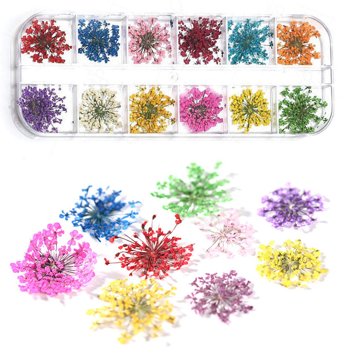 Dry Flower Nail Art, Real Flowers for Nails, 3D Nails Stickers with Nature Dry Flowers 12 Color 36 Pcs