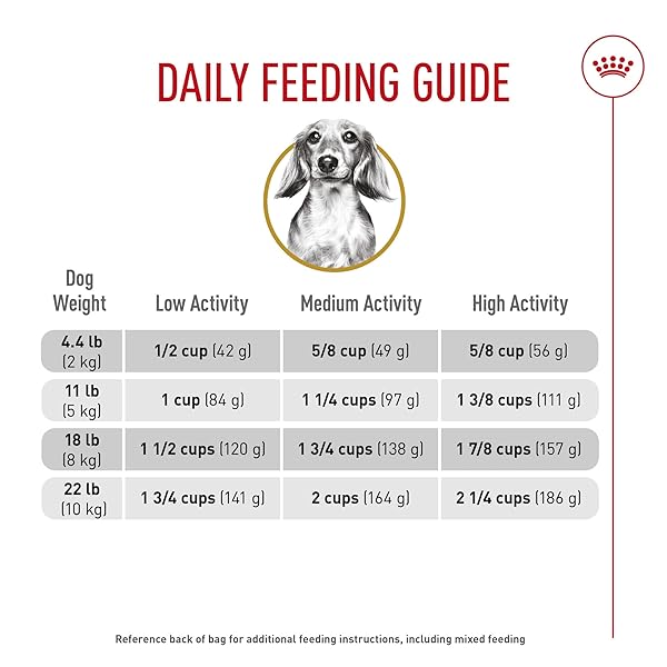 ROYAL CANIN DACHSHUND ADULT BREED SPECIFIC DRY DOG FOOD, 2.5 LB BAG
