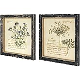 NIKKY HOME Botanical Wall Art Set of 2, Vintage Botanical Prints Wooden Framed Floral Plant Pictures Poster Decor for Bathroo