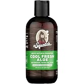 Dr. Squatch Shampoo - Cool Fresh Aloe - 8oz