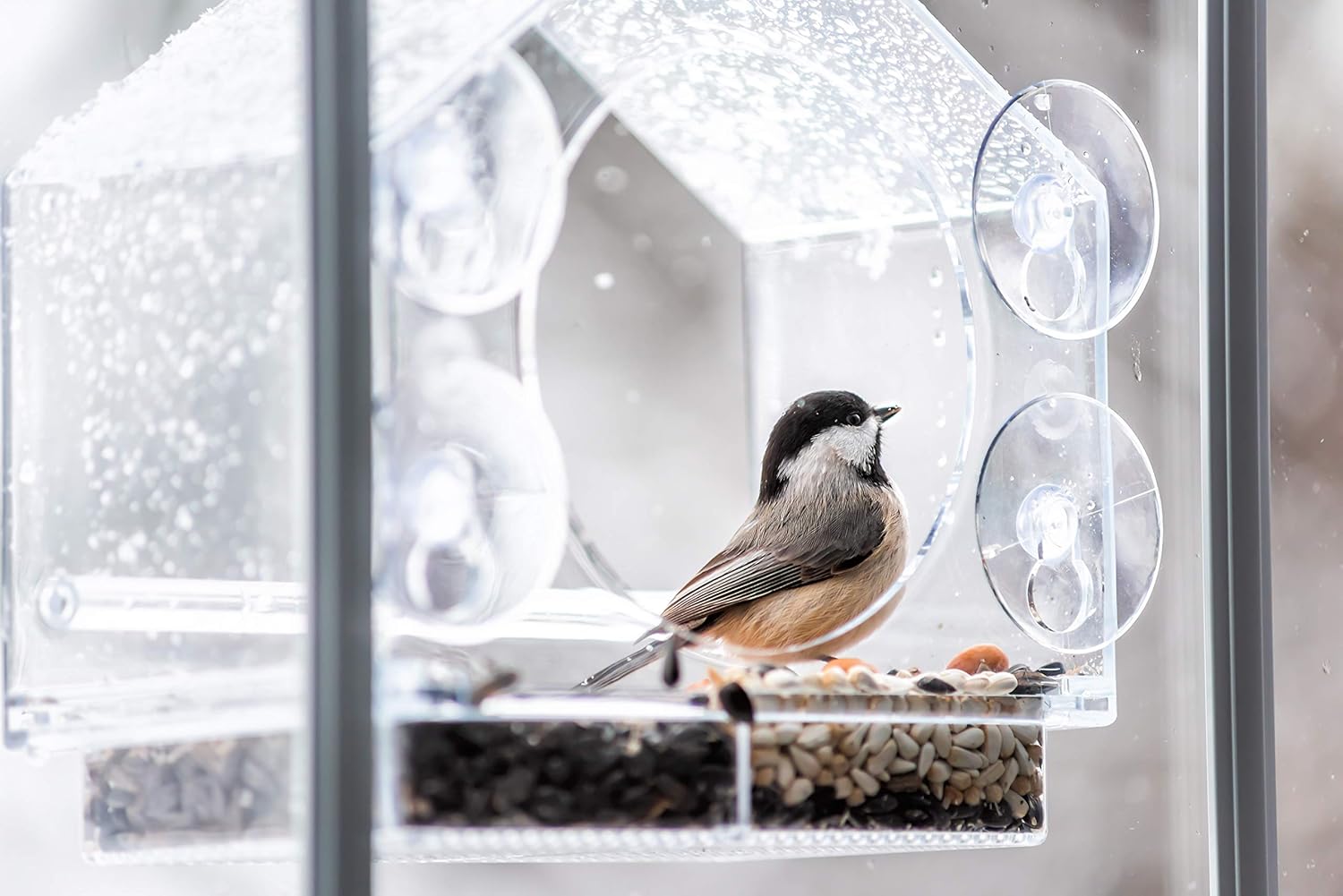 Nature Anywhere Window Bird House Feeder with Sliding Seed Holder and 4 Extra Strong Suction Cups. Large Outdoor Birdfeeders for Wild Birds. Birdhouse Shape. : Garden & Outdoor
