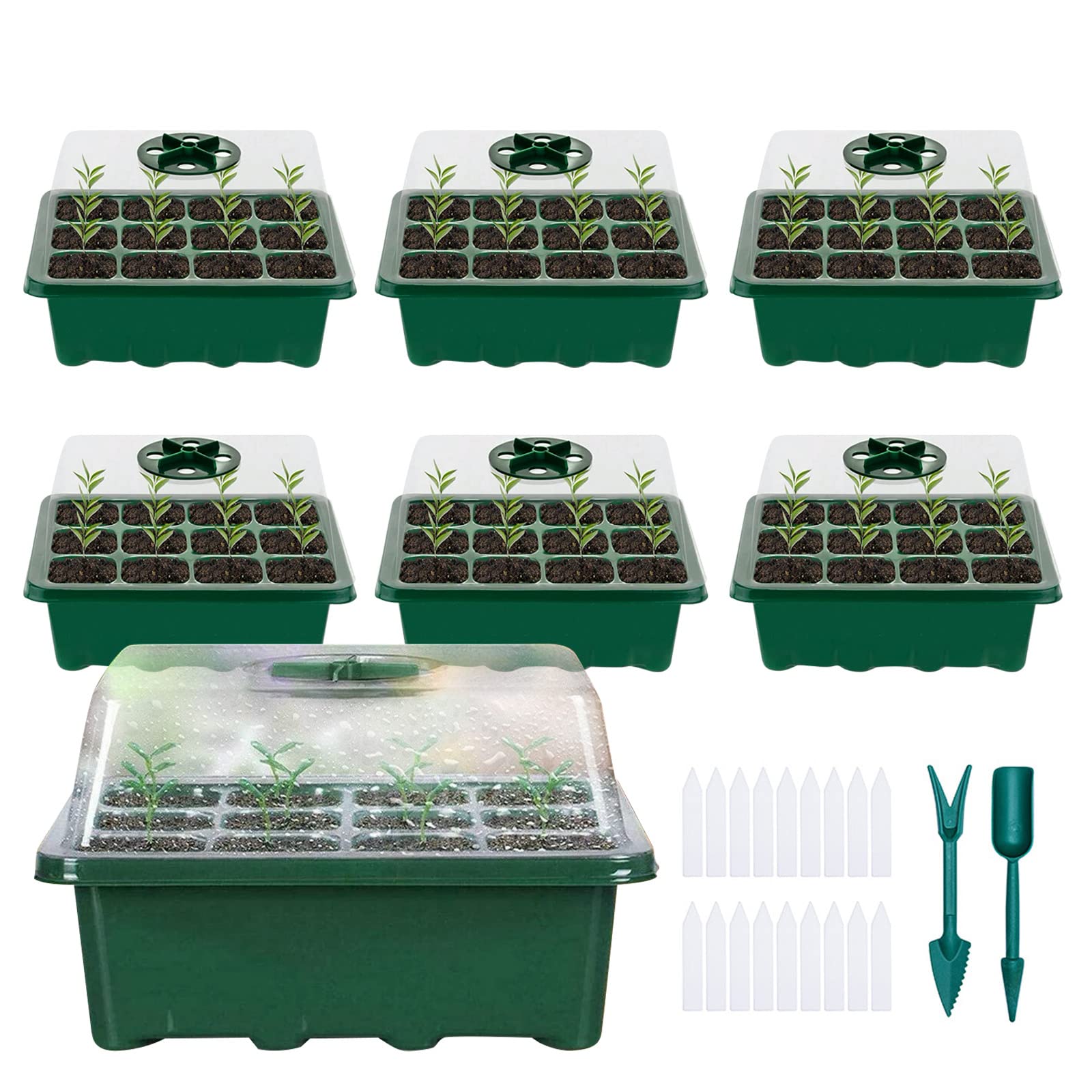 MAINOSHY Seed Trays for Seedlings, 6Pack Seed Propagator Tray Seed Starter Tray with lid Plant Germination Box with Plant Labels and Plant Tools for Greenhouse & Gardens (Green)