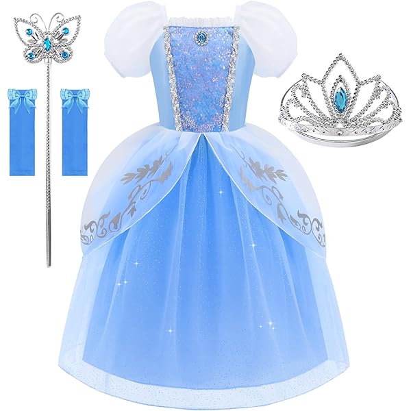 Amazon.com: Girls Reversible Cinderella Costume