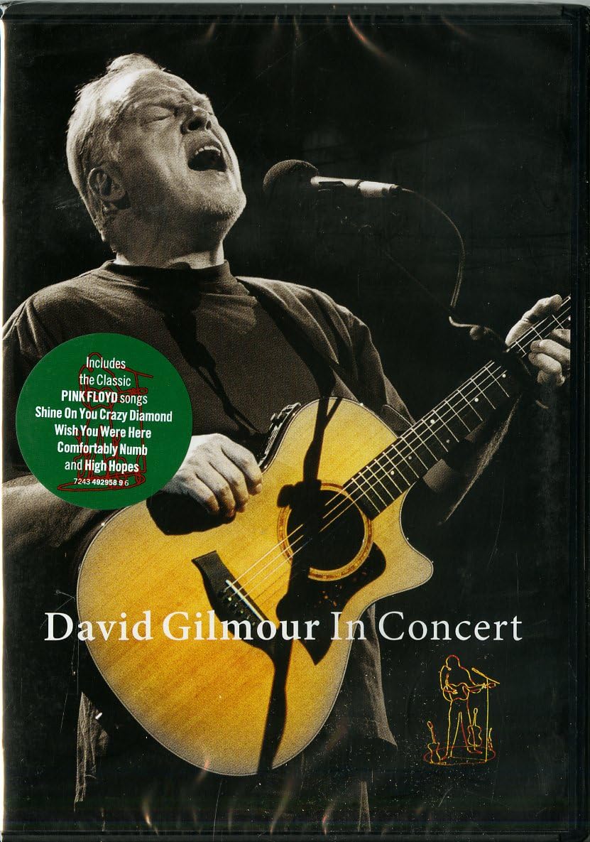 David Gilmour In Concert [DVD] [2002]
