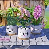 TuDou Best Mum Ever Ceramic Succulent Pot Gift Boxed view 4
