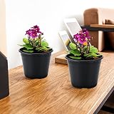 KINGLAKE 50Pcs 10 cm Black Plastic Plant Pots & 100 Pcs White Plant Labels view 5
