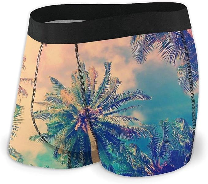 Mens Underwear Breathable, Tropical Coconut Tree Mens Boxer Briefs