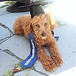 Review Image by Anabel T.