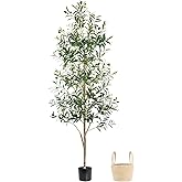 Caxchiling Faux Olive Tree 6FT, Artificial Potted Tree with Planter, Silk Plants Indoor Outdoor, Lifelike Olive Plants with Natural Wood Trunk, Fruits and Buds, Home Office Decor, 1 Pack