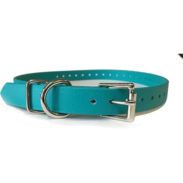 prong dog collar petco