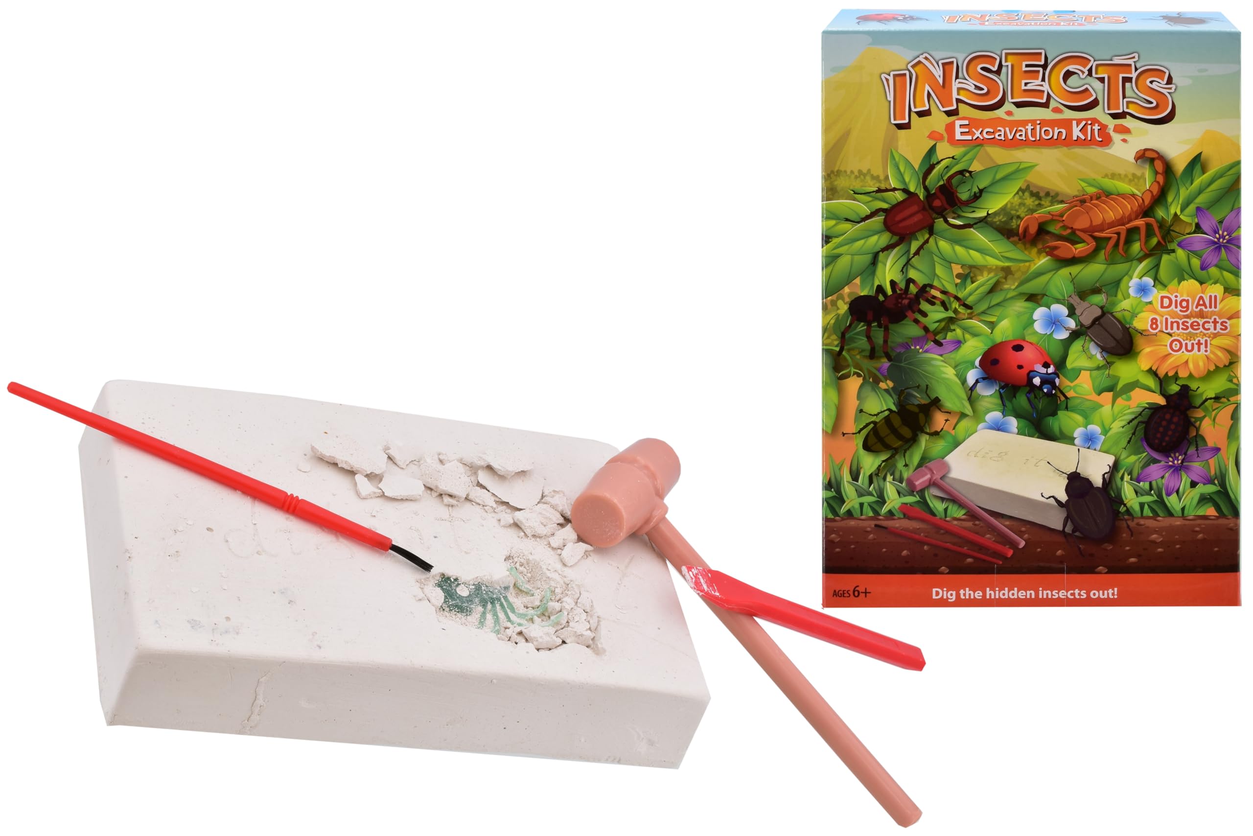 Insects Excavation Kit