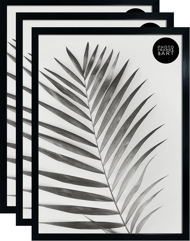 pf+a Perspex Window Pack Of 3 A2 Poster Frames Black Frames 42x59.4cm