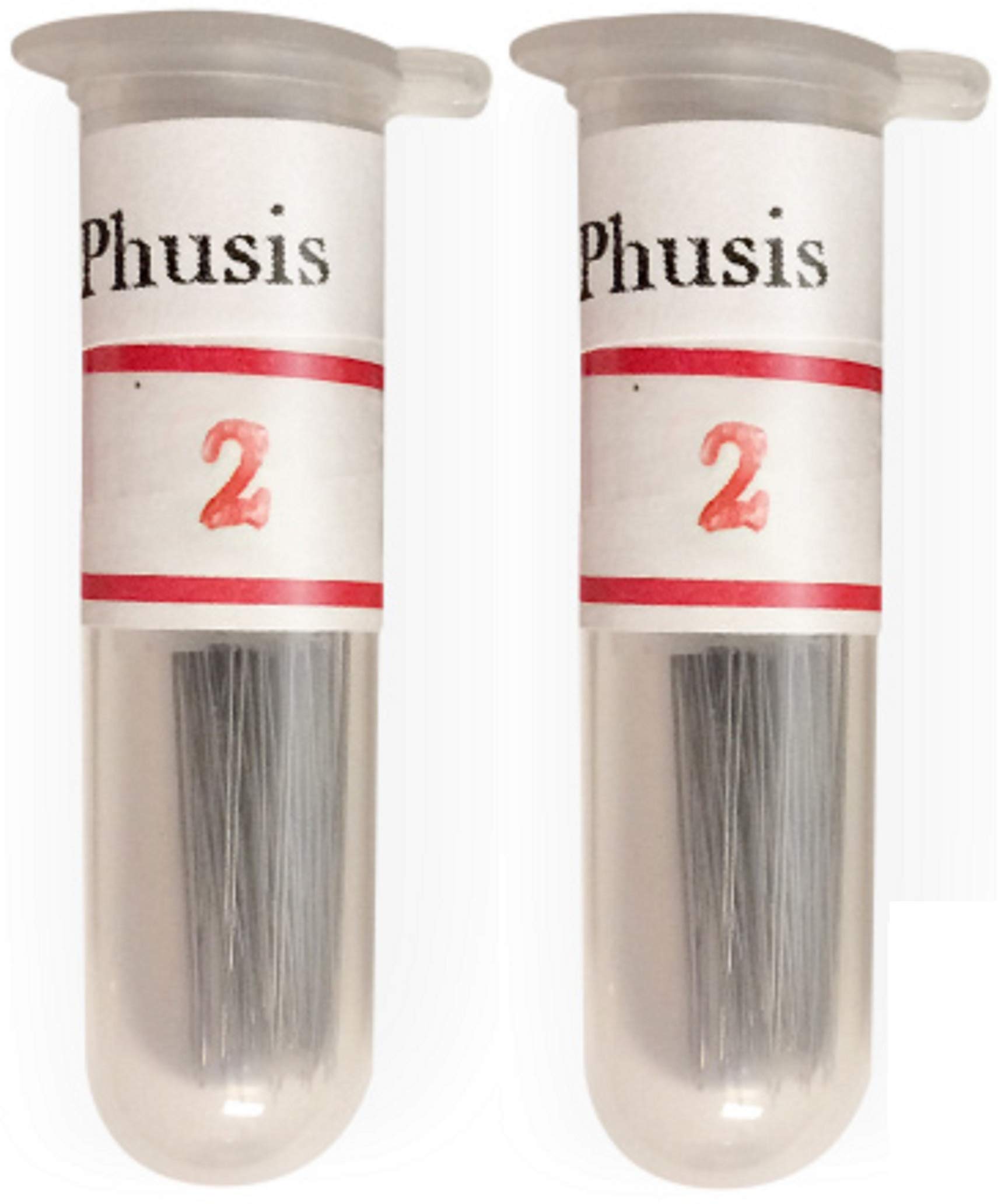 Insects & Insect Kits Bahrain | Buy Online | Whizz Others