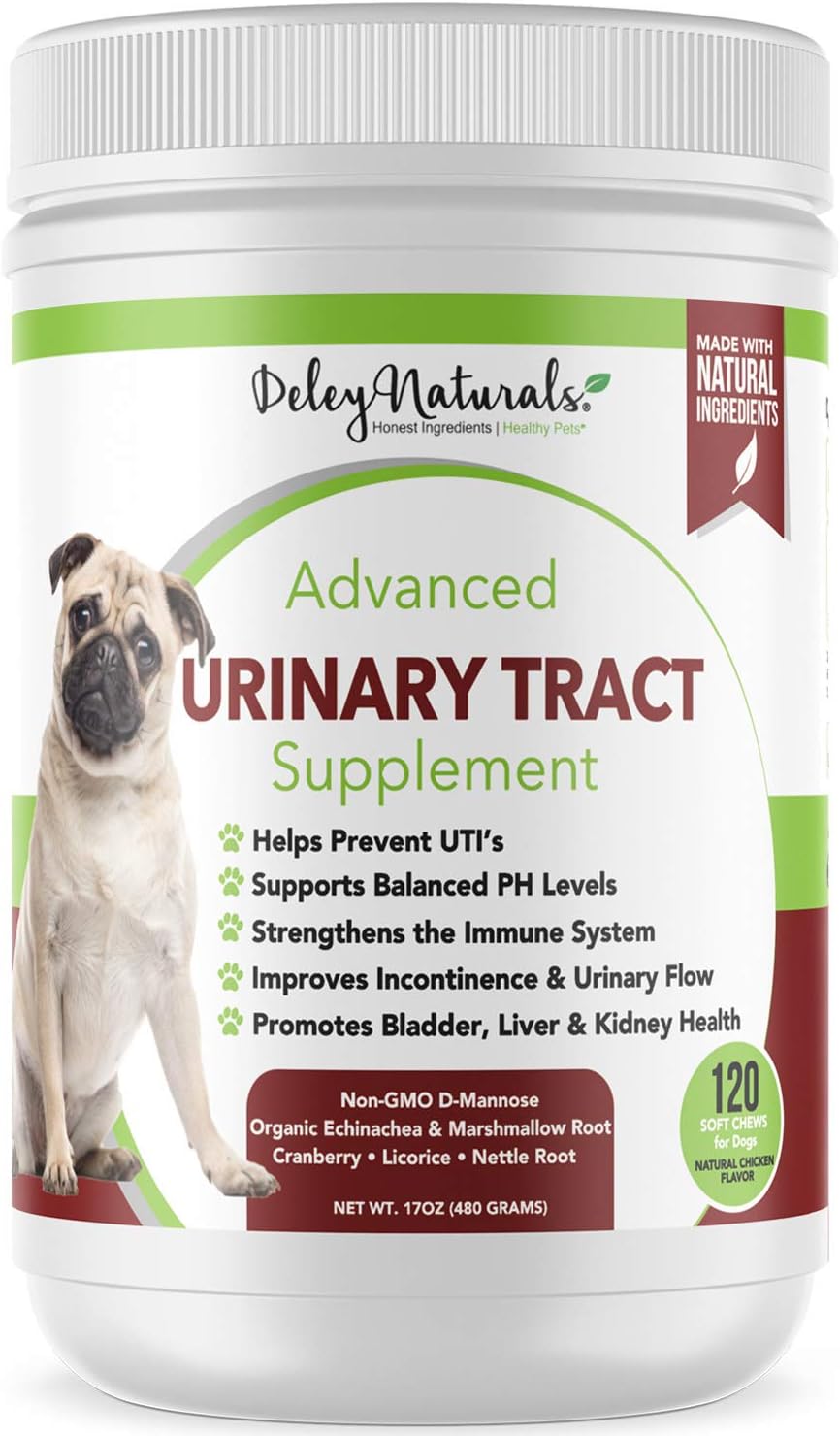 Dog UTI Treatment Incontinence, Bladder, Kidney & Immune System