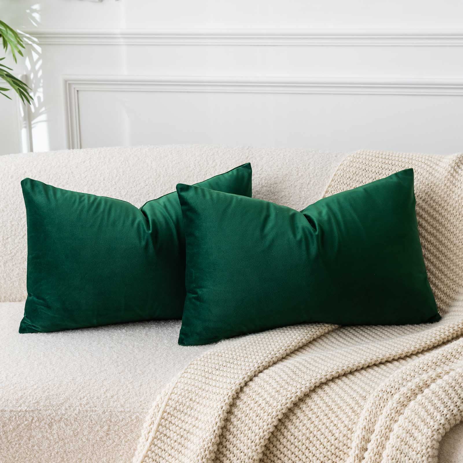 JUSPURBET 24x16 Inch Dark Green Pillow Cover Set of 2 Decorative Soft Lumbar Velvet Throw Pillow Cases for Couch Bedroom Hypoallergenic with Hidden Zipper Fade Resistant โ image 1