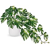 DILATATA Fake Plants Indoor 8 Inch Artificial Monstera Plant in White Ceramic Pot - Faux Potted Tropical Palm Plant for Home Aesthetic Decor Living Room Shelf Office